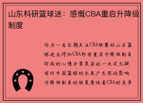 山东科研篮球迷：感慨CBA重启升降级制度